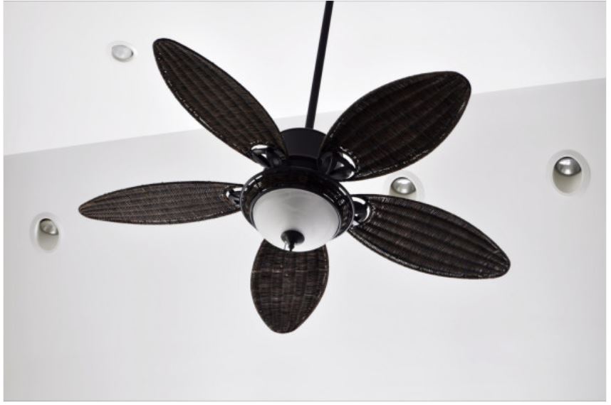 best kitchen ceiling light to replace a fan