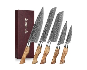 HEZHEN 5PC Kitchen Knives Set