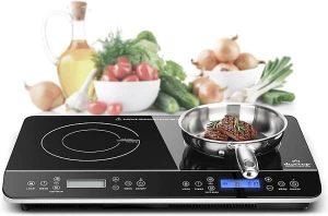 Duxtop LCD Portable Double-Induction