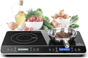 Duxtop LCD Portable Double-Induction