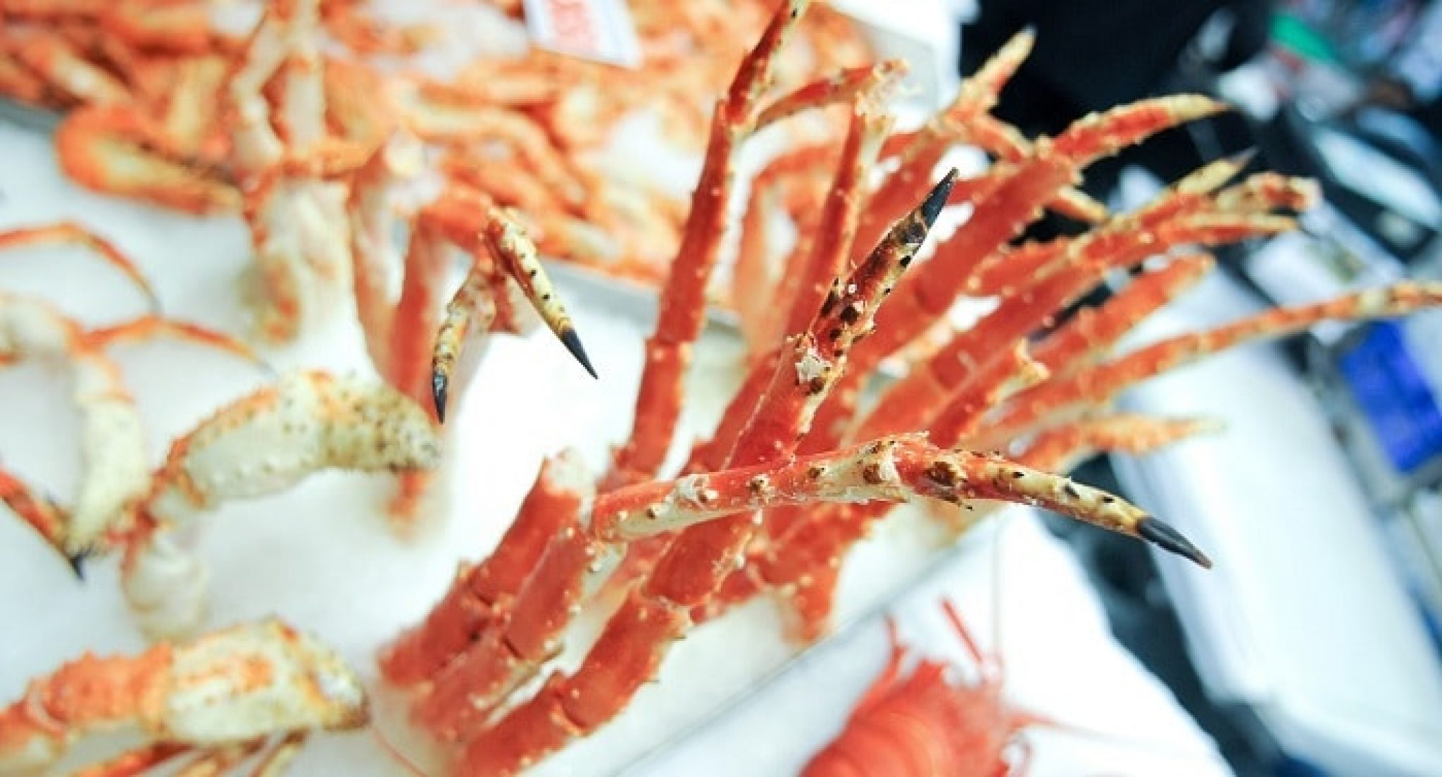 How Long Do Crab Legs Last in the Fridge? Cooked And Uncooked